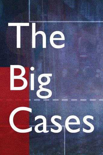 Series poster for The Big Cases (2022)