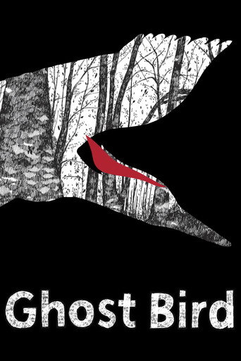 Movie poster for Ghost Bird (2009)