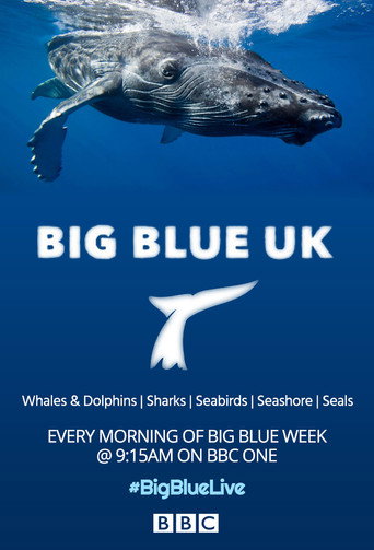 Big Blue UK poster