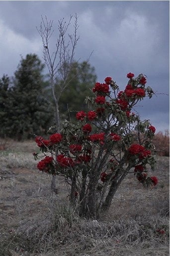 Movie poster for Stars of Gaomeigu (2017)