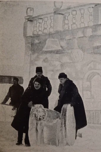 Movie poster for The Ice House (1916)