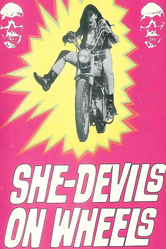 Movie poster for She-Devils on Wheels (1968)