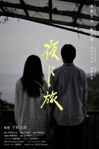 Movie poster for Journey Through the Night (2025)