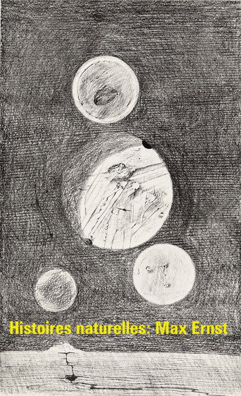 Movie poster for Histoires naturelles : Max Ernst (1972)