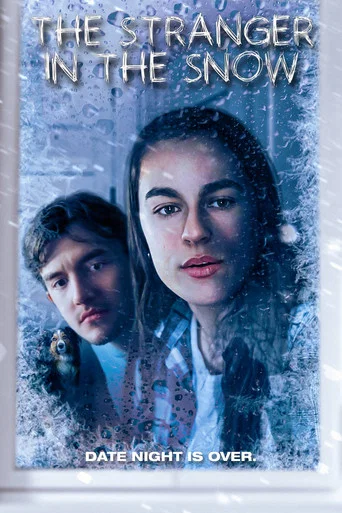 Movie poster for The Stranger in the Snow (2025)