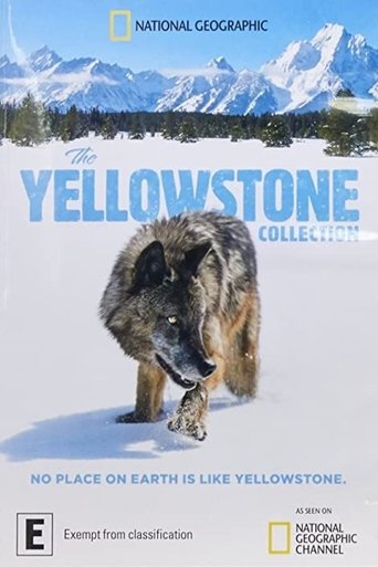 Series poster for The Yellowstone Collection (2020)