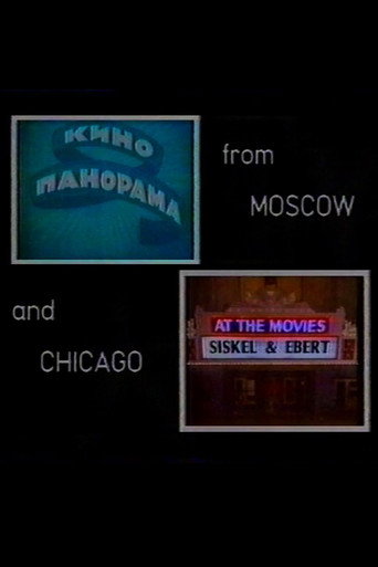 Movie poster for Visions: From Moscow and Chicago (1984)