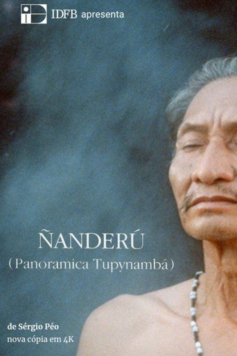 Movie poster for Ñanderú - Panorâmica Tupinambá (1991)