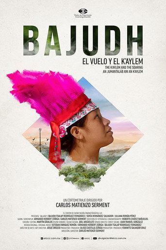 Movie poster for Bajudh (2023)