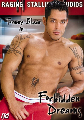 Forbidden Dreams poster