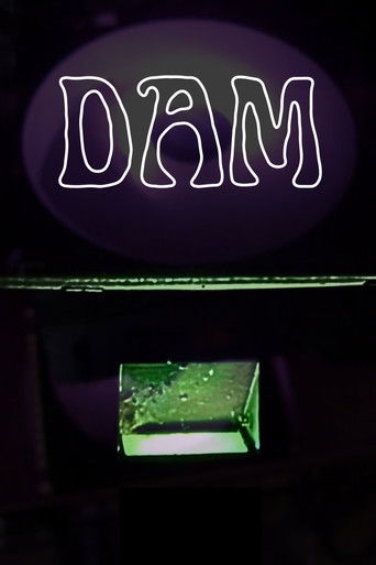 Dam poster