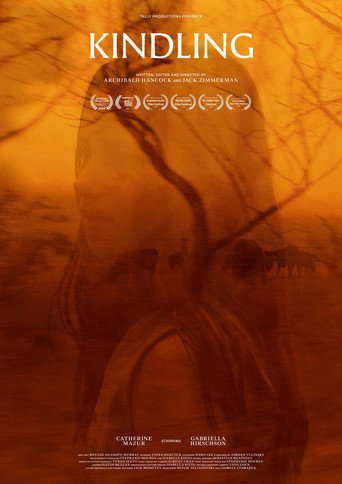 Movie poster for Kindling