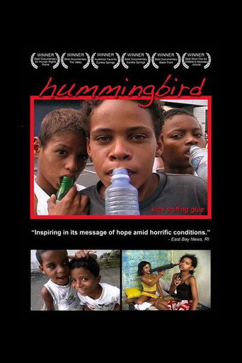 Movie poster for Hummingbird (2004)