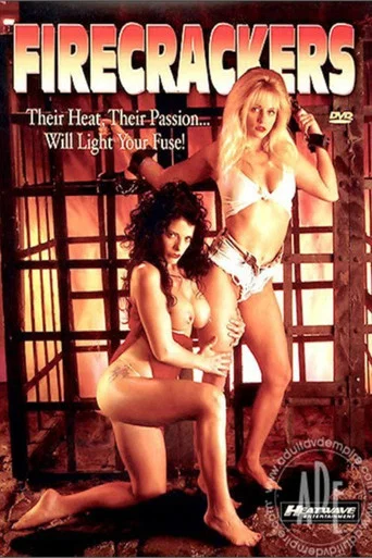 Movie poster for Firecrackers (1995)