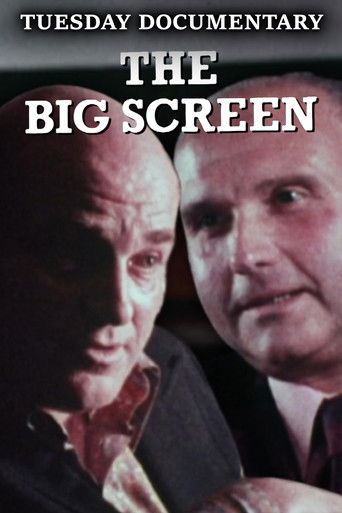The Big Screen poster