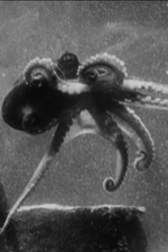 Movie poster for Fathoms Deep Beneath the Sea (1922)