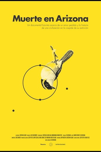 Death in Arizona poster