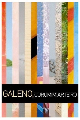 Movie poster for Galeno, Curumim Arteiro (2010)