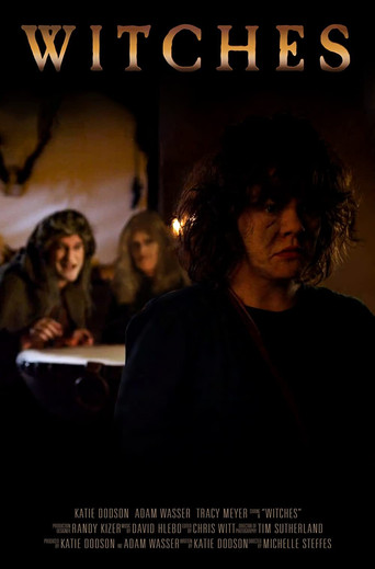 Movie poster for Witches (2014)