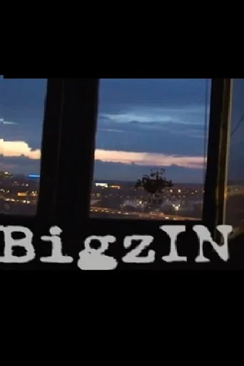 Movie poster for BigzIN (2012)