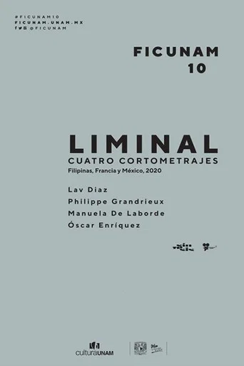 Movie poster for Liminal (2020)