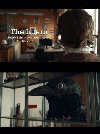 Movie poster for The Intern (2025)
