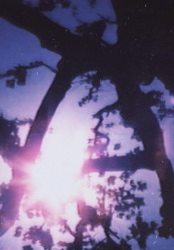 Movie poster for Light Point (1996)