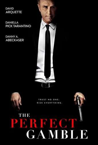 Movie poster for The Perfect Gamble (2025)