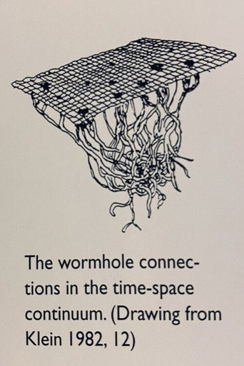 Movie poster for The wormhole connections in the time-space continuum (2025)