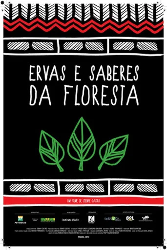 Movie poster for Ervas e Saberes da Floresta (2012)