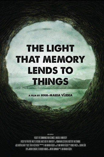Movie poster for The Light That Memory Lends to Things (2015)