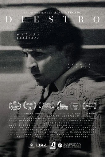 Movie poster for Right Handed