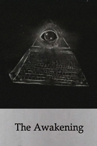 Movie poster for The Awakening (1990)