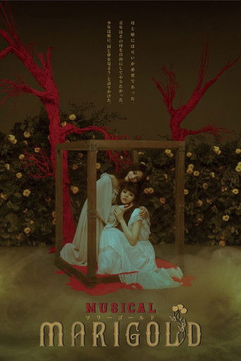 Musical - MARIGOLD- poster