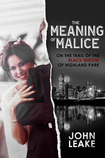 Movie poster for The Meaning of Malice