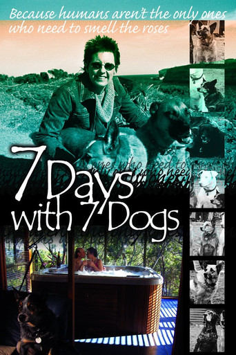Movie poster for 7 Days with 7 Dogs (2007)