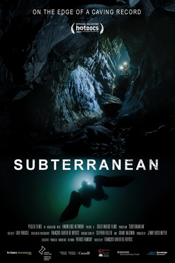 Subterranean poster