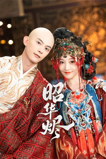 Series poster for Zhao Hua Jin