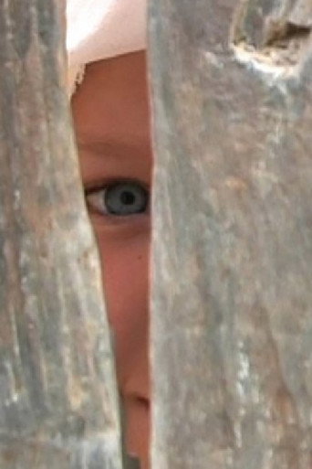 Movie poster for Look at the Life Through My Eyes (2009)