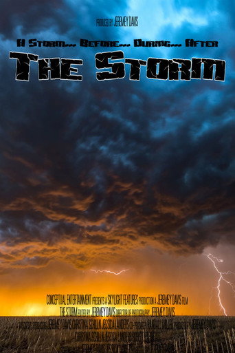 Movie poster for The Storm (2007)