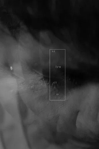 Movie poster for silencio