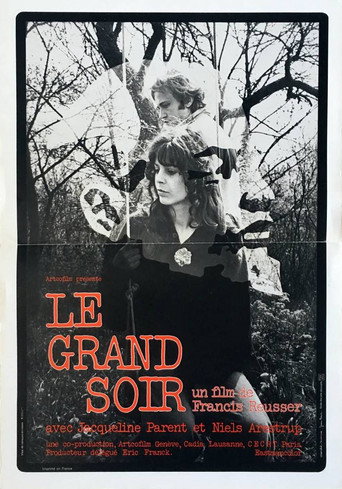 Movie poster for The Big Night (1976)