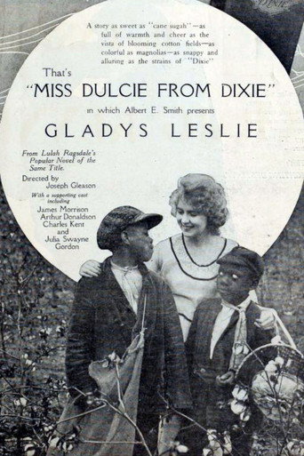 Movie poster for Miss Dulcie from Dixie (1919)