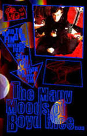 Movie poster for The Many Moods Of Boyd Rice (2002)