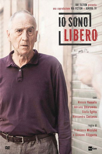 Libero poster