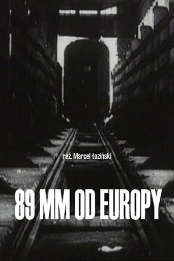 Movie poster for 89 mm from Europe (1993)