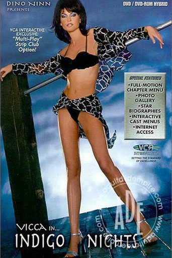 Movie poster for Indigo Nights (2001)
