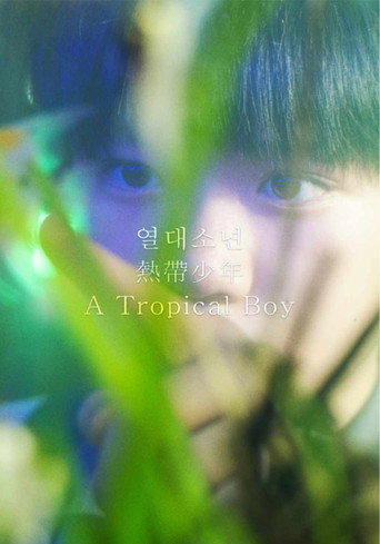 A Tropical Boy poster