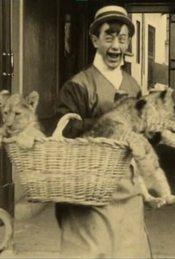 Movie poster for Polidor and the Cat (1913)