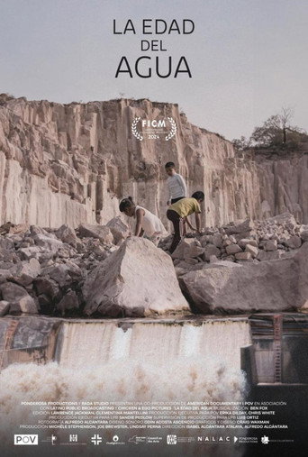 The Age of Water poster